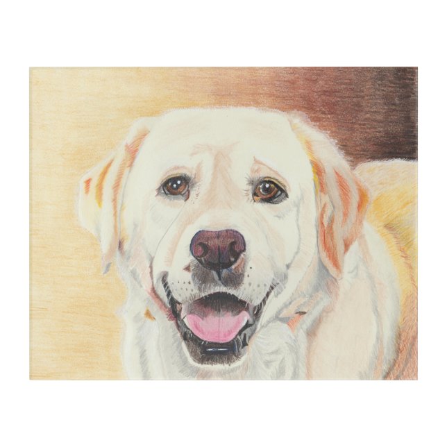 Pastel Yellow Lab Hand-Drawn Wall Hanging Acrylic Print (Front)