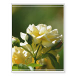 Pastel Yellow Rose Bush Temporary Tattoos