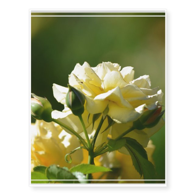 Pastel Yellow Rose Bush Temporary Tattoos (Front)