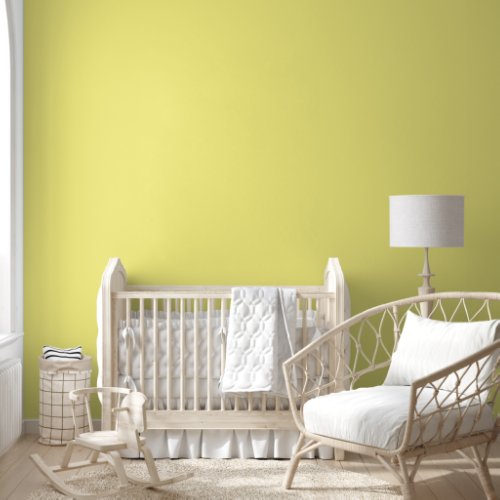Pastel Yellow Solid Simple One Color Minimal Wallpaper