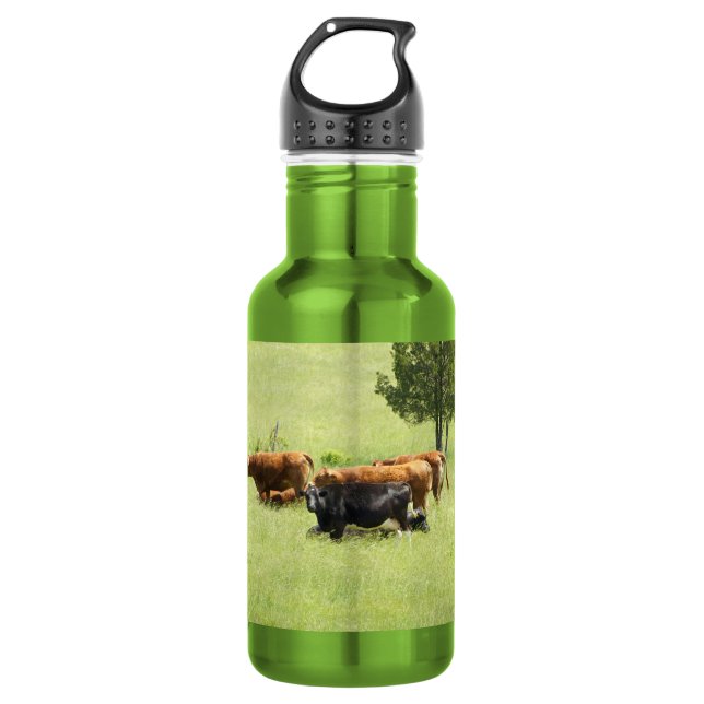 Pastoral Water Bottle (Front)