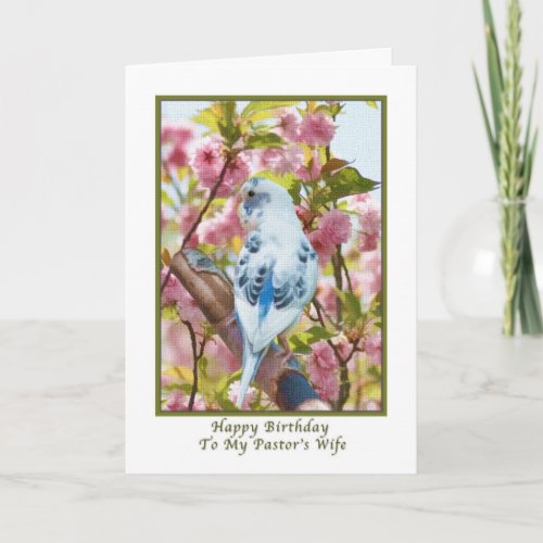 Pastors Wifes Birthday Card with Blue Parrot