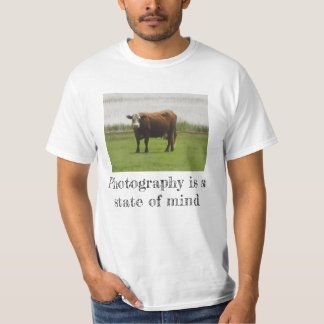 Pasture Mood – Cow Photo T-Shirt