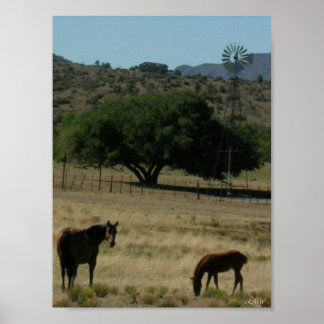 Pasture Perfect Poster