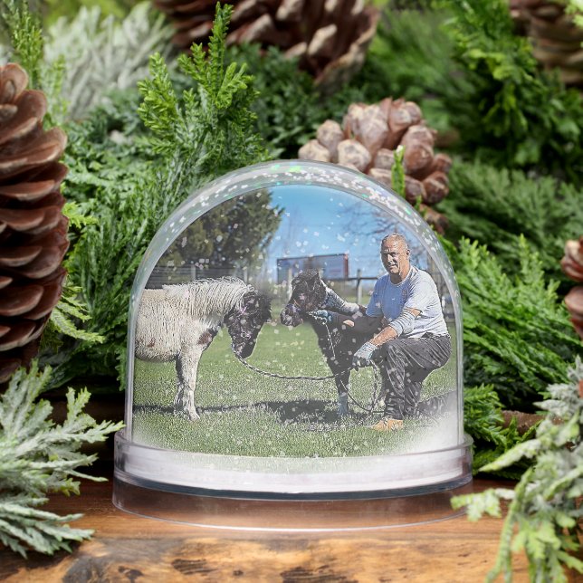 Pat - Babies - Sample Snow Globe (Winter)