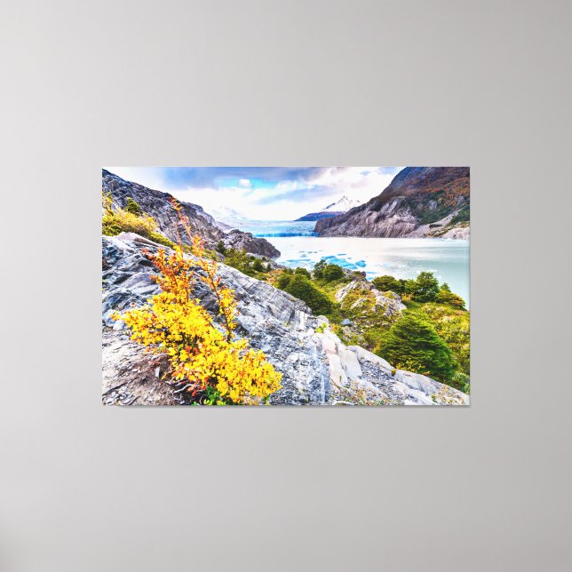 Patagonia Canvas Print (Front)
