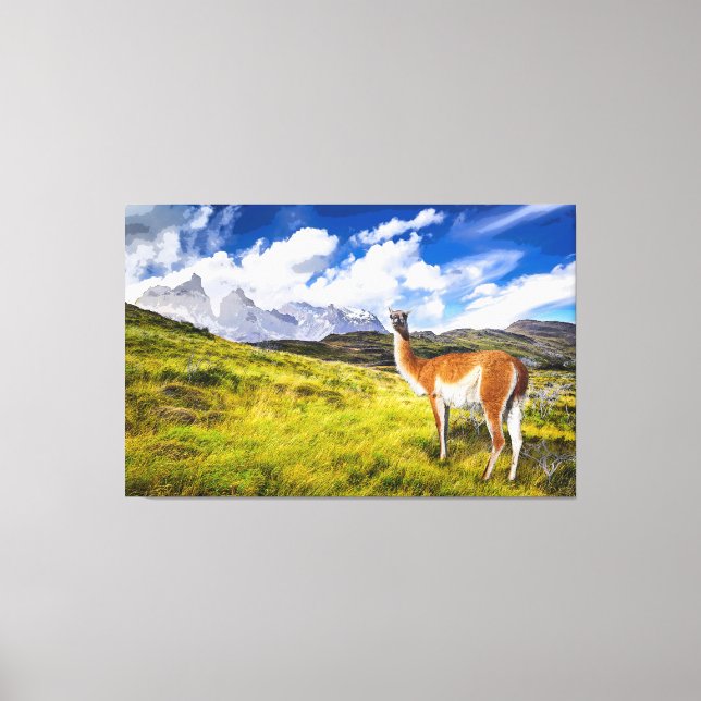 Patagonia Canvas Print (Front)