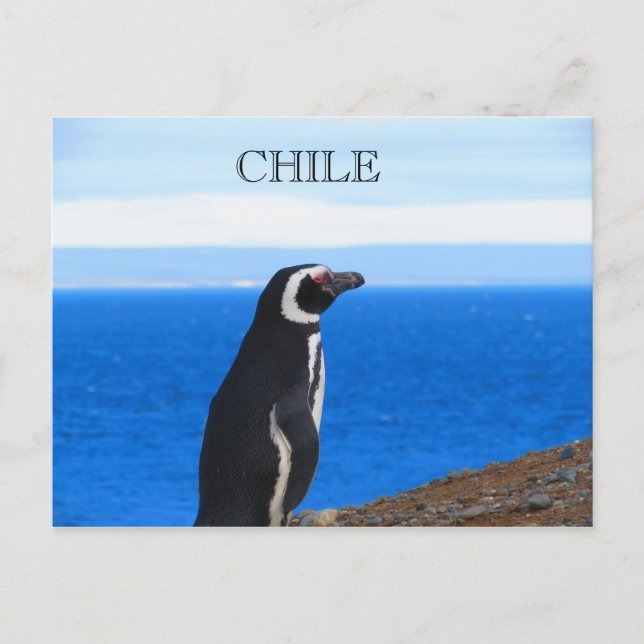 Patagonia Chile Postcard (Front)