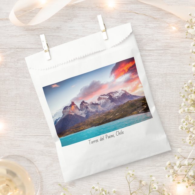 Patagonia Favor Bag (Clipped)