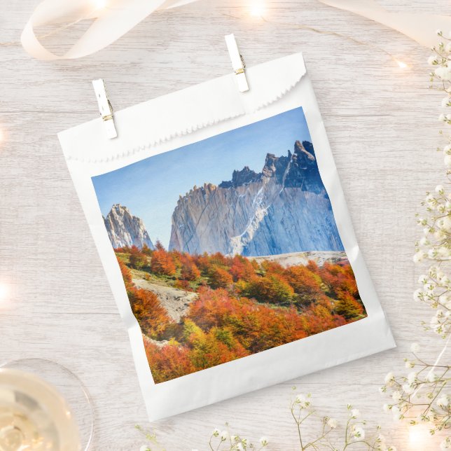 Patagonia Favor Bag (Clipped)