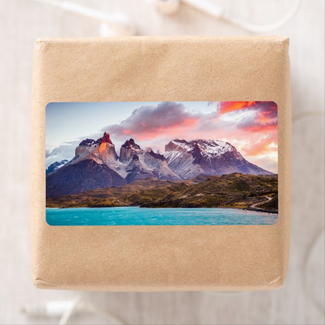 Patagonia Label (Insitu)