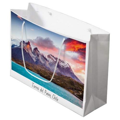 Patagonia Large Gift Bag