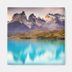 Patagonia Magnet
