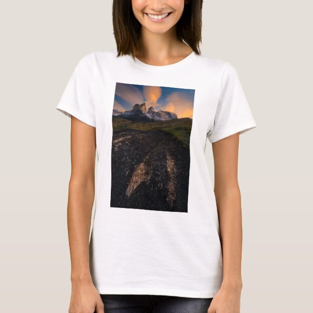 Patagonia T-Shirt (Front)