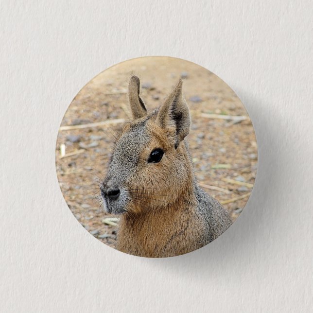 PATAGONIAN MARA BUTTON (Front)