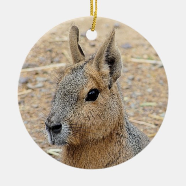 PATAGONIAN MARA   CERAMIC ORNAMENT (Front)