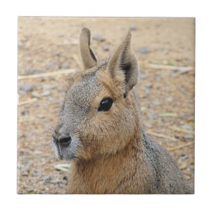 PATAGONIAN MARA CERAMIC TILE