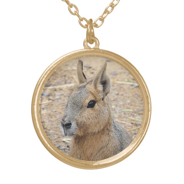 PATAGONIAN MARA GOLD PLATED NECKLACE (Front)