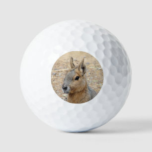 PATAGONIAN MARA   GOLF BALLS