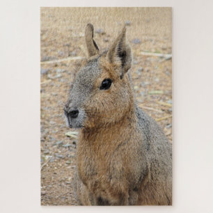 PATAGONIAN MARA JIGSAW PUZZLE