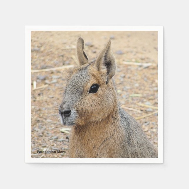 PATAGONIAN MARA   NAPKINS (Front)
