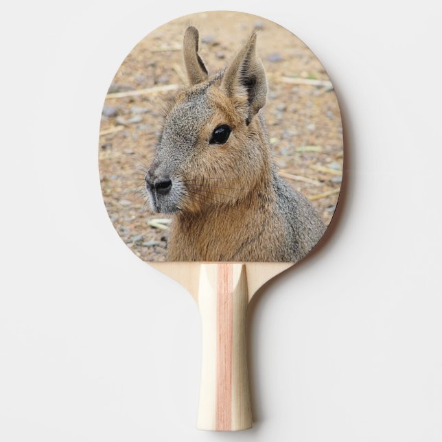 PATAGONIAN MARA PING PONG PADDLE (Front)