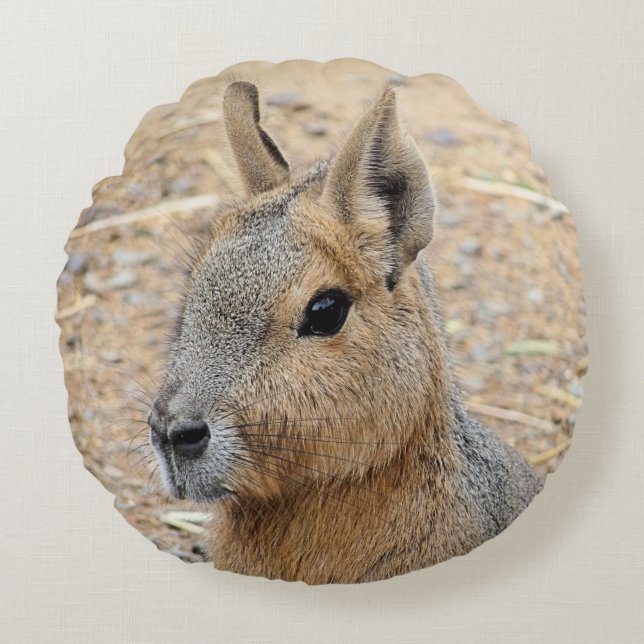 PATAGONIAN MARA ROUND PILLOW (Front)