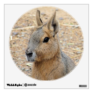 PATAGONIAN MARA  WALL DECAL