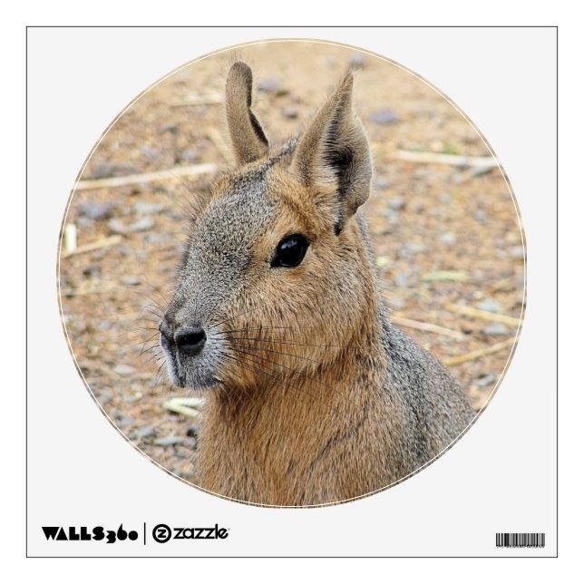 PATAGONIAN MARA  WALL DECAL (Front)