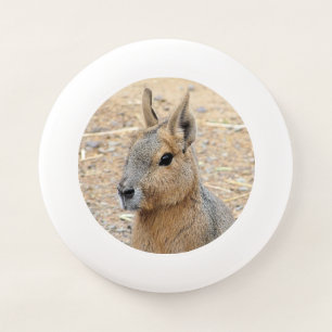 PATAGONIAN MARA  Wham-O FRISBEE