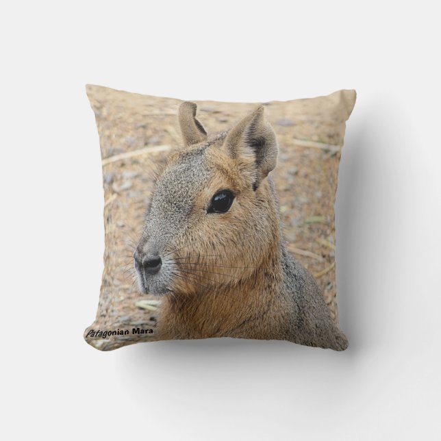 PATAGONIAN MARA WILD ANIMAL THROW PILLOW (Front)