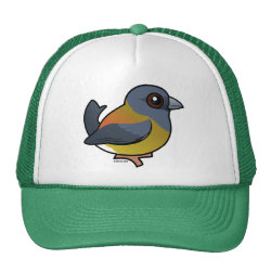 Patagonian Sierra-Finch Trucker Hat