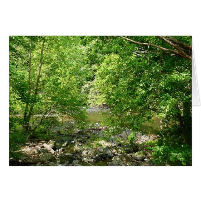 Patapsco River View Maryland Nature Photography (Front Horizontal)