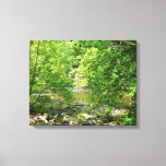 Patapsco River View Maryland Nature Photography Canvas Print