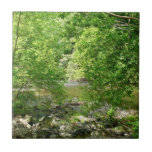 Patapsco River View Maryland Nature Photography Ceramic Tile