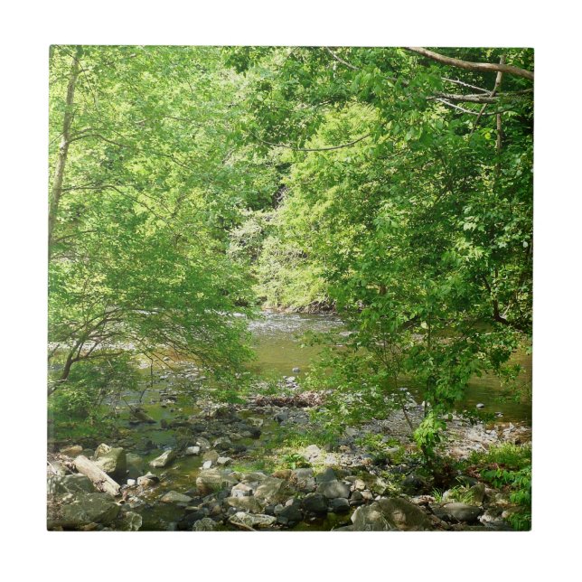 Patapsco River View Maryland Nature Photography Ceramic Tile (Front)