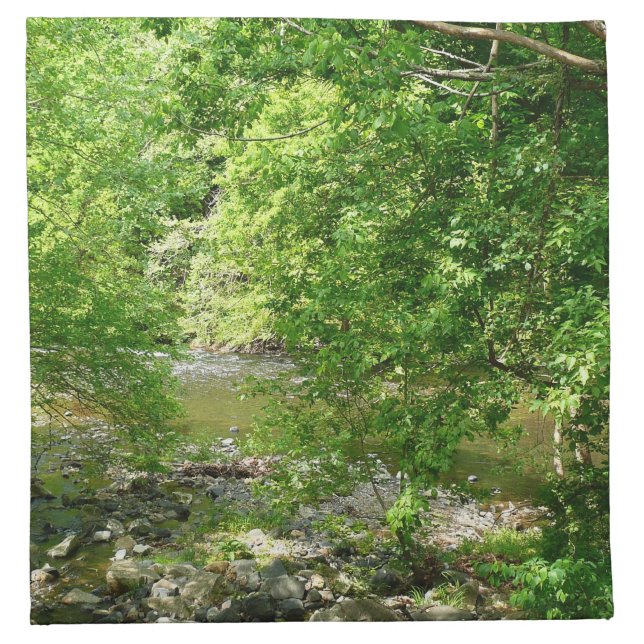 Patapsco River View Maryland Nature Photography Cloth Napkin (Front)