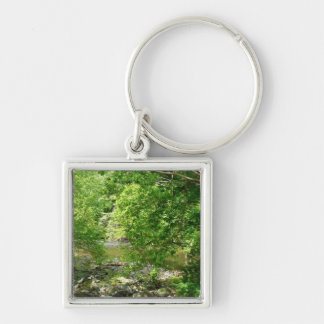 Patapsco River View Maryland Nature Photography Keychain