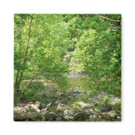 Patapsco River View Maryland Nature Photography Magnet