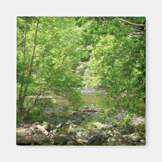 Patapsco River View Maryland Nature Photography Magnet (Front)