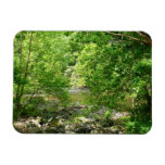 Patapsco River View Maryland Nature Photography Magnet