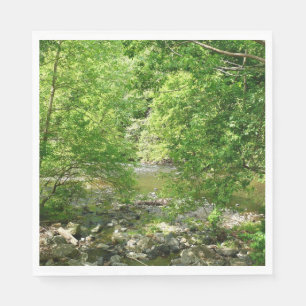 Patapsco River View Maryland Nature Photography Napkins