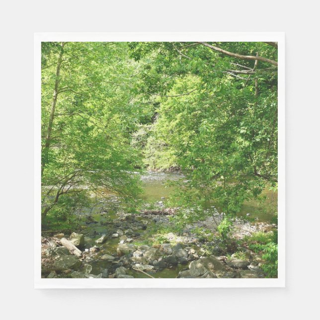 Patapsco River View Maryland Nature Photography Napkins (Front)