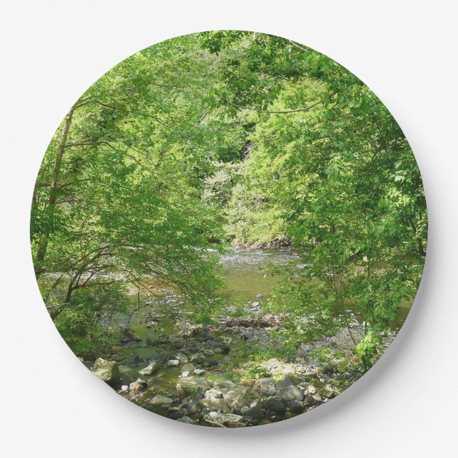 Patapsco River View Maryland Nature Photography Paper Plates (Front)
