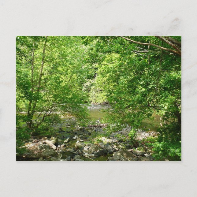 Patapsco River View Maryland Nature Photography Postcard (Front)