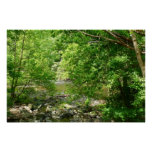 Patapsco River View Maryland Nature Photography Poster