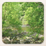 Patapsco River View Maryland Nature Photography Square Paper Coaster