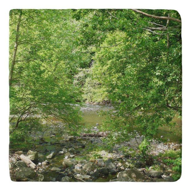Patapsco River View Maryland Nature Photography Trivet (Front)