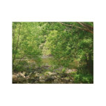 Patapsco River View Maryland Nature Photography Wood Poster