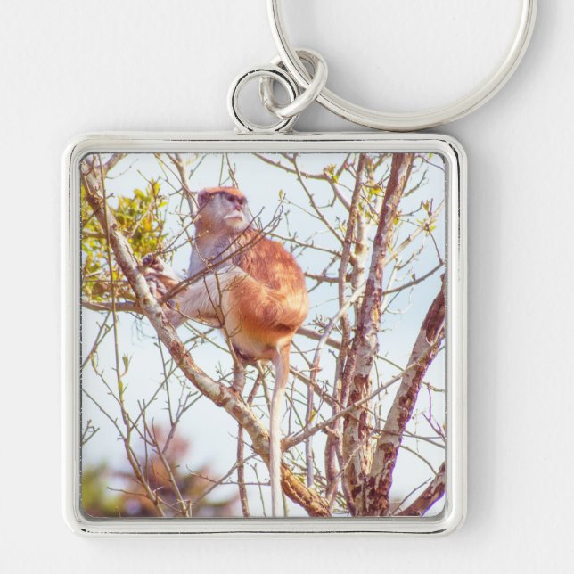 Patas is Up a Tree Keychain (Front)